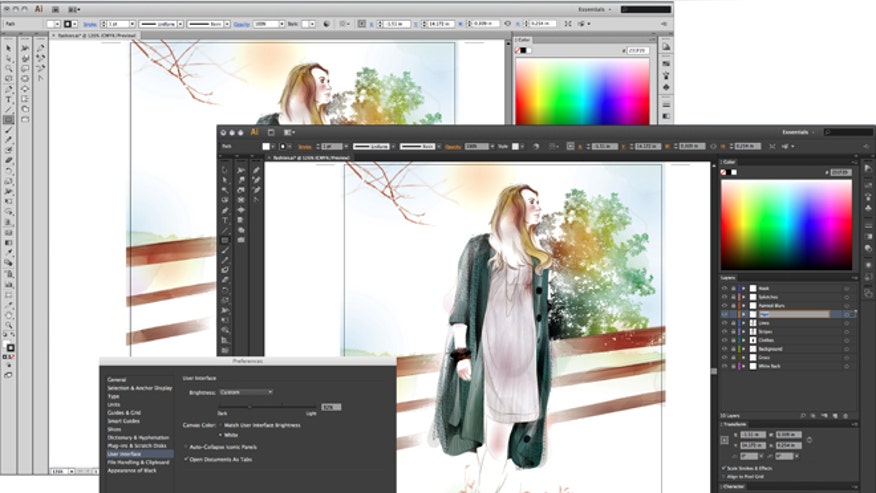 Adobe Illustrator CS6.jpg